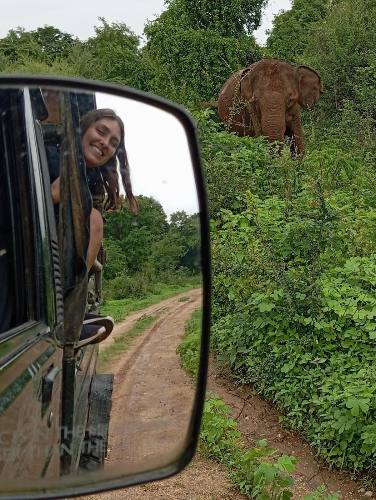 White Rose Safari Home Stay Udawalawe Ngoại thất bức ảnh