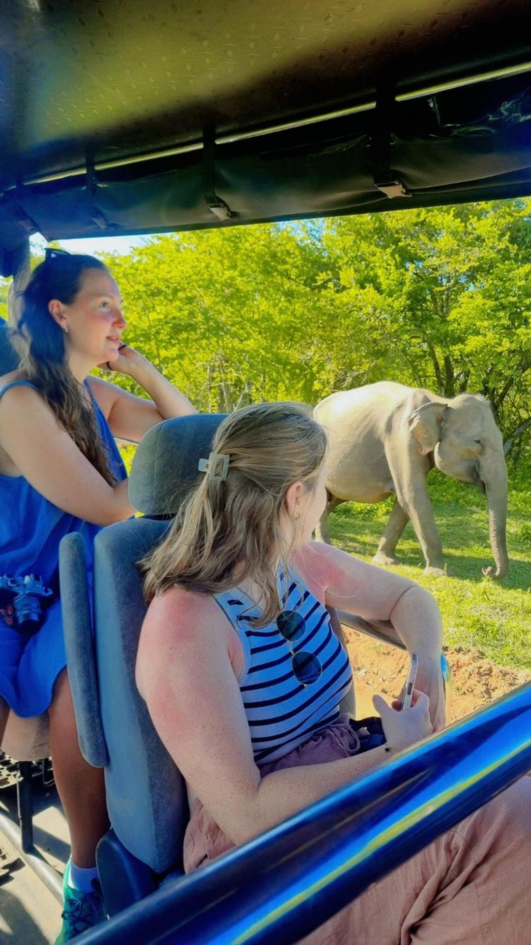 White Rose Safari Home Stay Udawalawe Ngoại thất bức ảnh