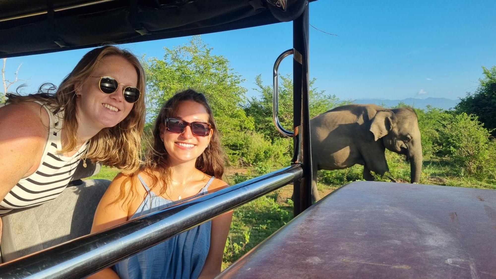 White Rose Safari Home Stay Udawalawe Ngoại thất bức ảnh