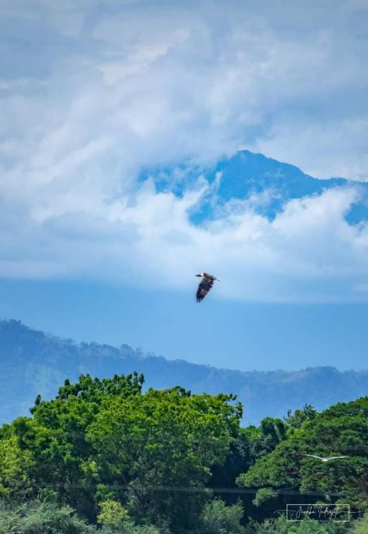 White Rose Safari Home Stay Udawalawe Ngoại thất bức ảnh