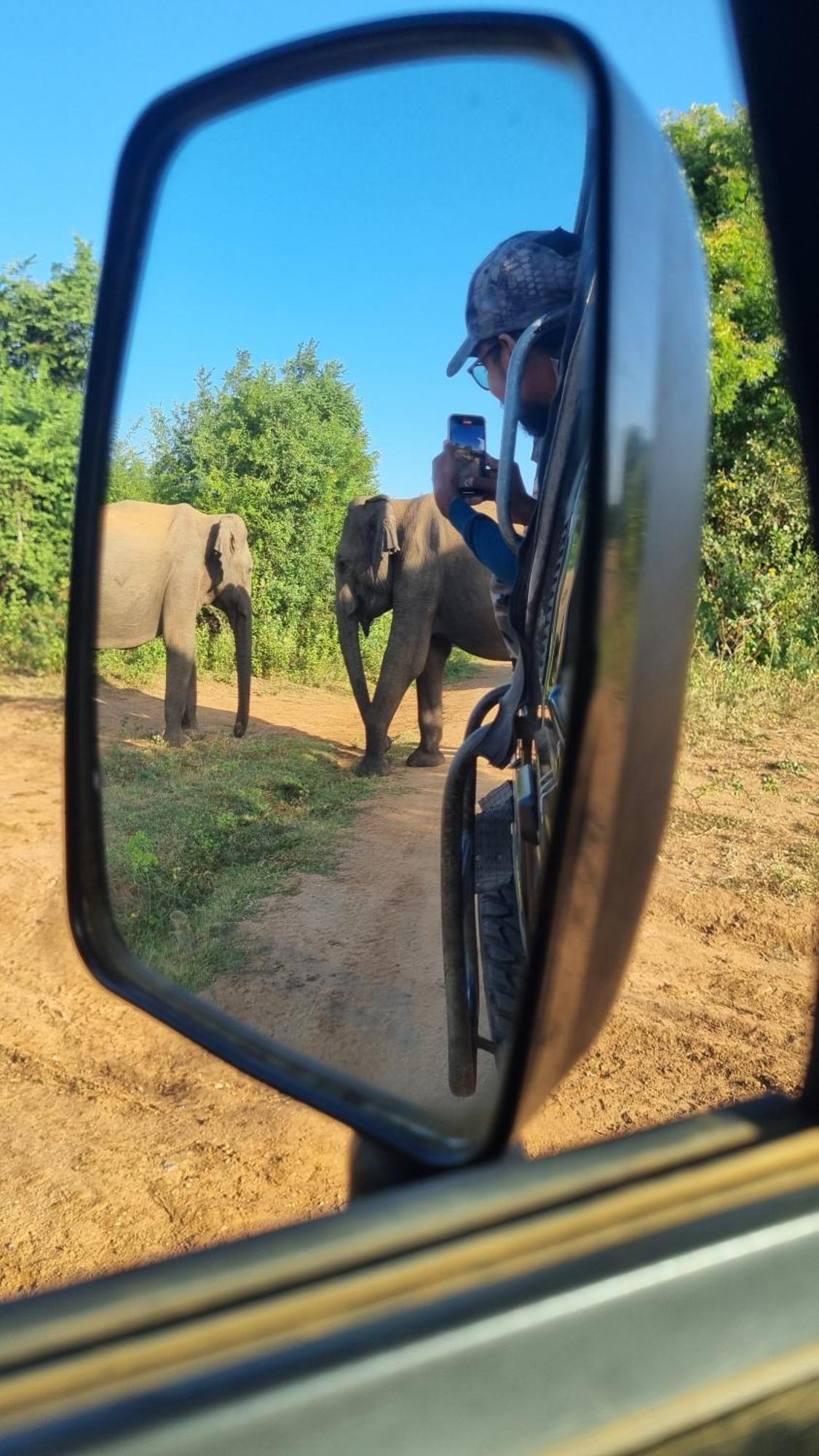 White Rose Safari Home Stay Udawalawe Ngoại thất bức ảnh